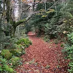 Paso Del Onso דירה