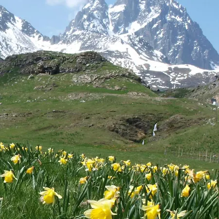 Apartment Paso Del Onso