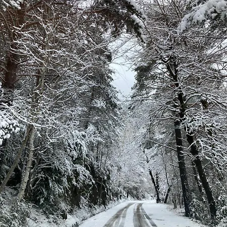 Διαμέρισμα Paso Del Onso *
