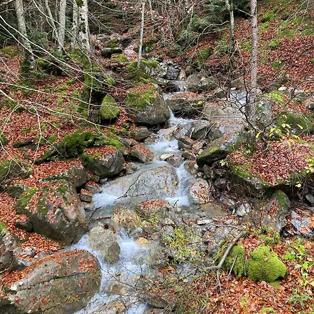 Apartment Paso Del Onso