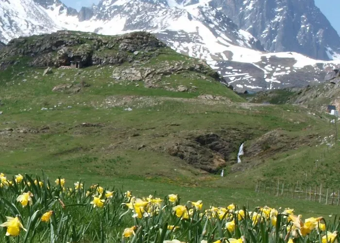 Lejlighed Paso Del Onso