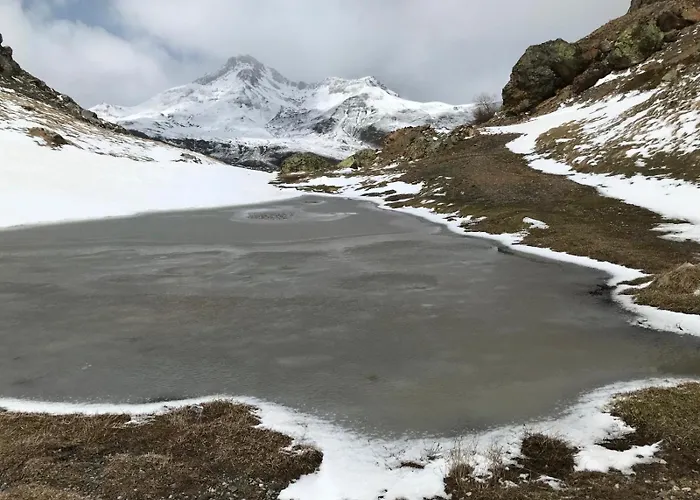 Paso Del Onso Lejlighed *