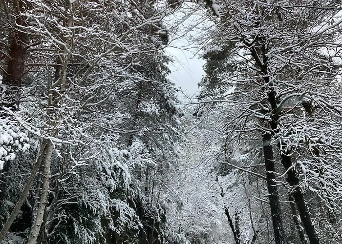 Lejlighed Paso Del Onso *