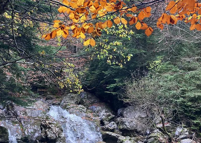 Paso Del Onso Lejlighed *